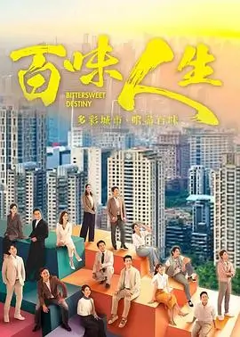 雾港回声 电视剧海报